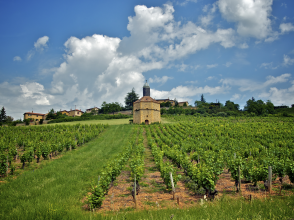 Le Beaujolais © Arnaud Hambert